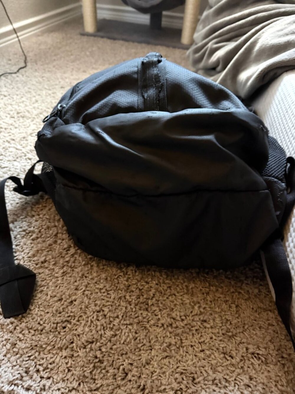 adidas Backpack Black - Picture 4 of 6